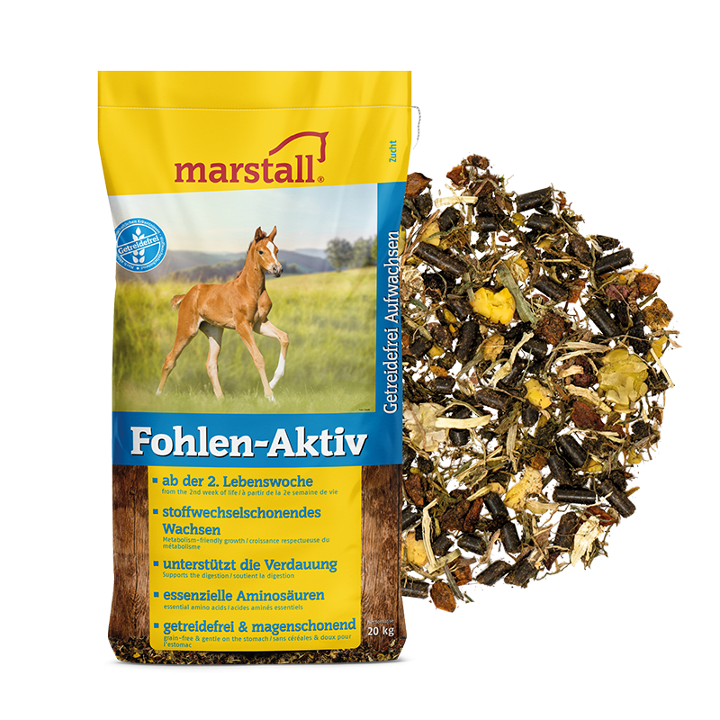Fohlen-Aktiv - MARSTALL