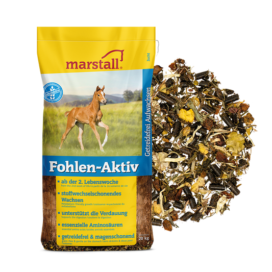 Fohlen-Aktiv - MARSTALL