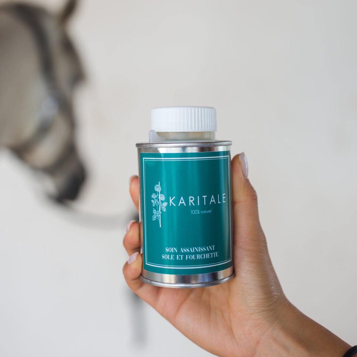 ASSAINISSANT SOLE ET FOURCHETTE - KARITALE