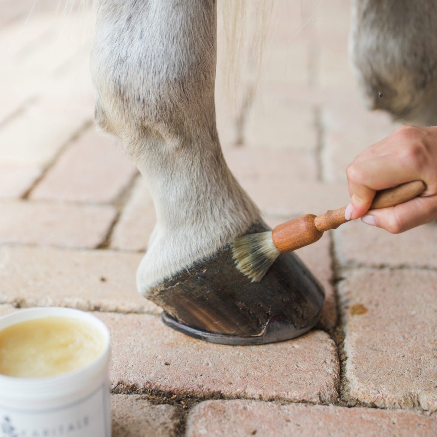 BAUME DE SOIN BLOND POUR SABOT - KARITALE