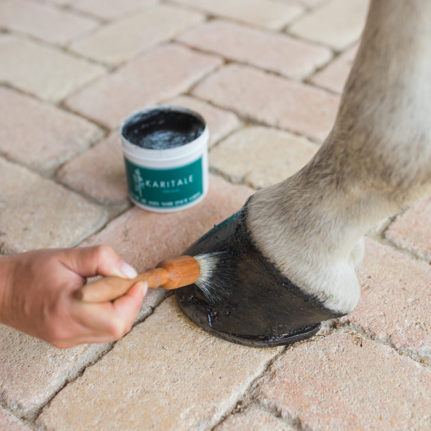 BAUME DE SOIN NOIR POUR SABOT - KARITALE