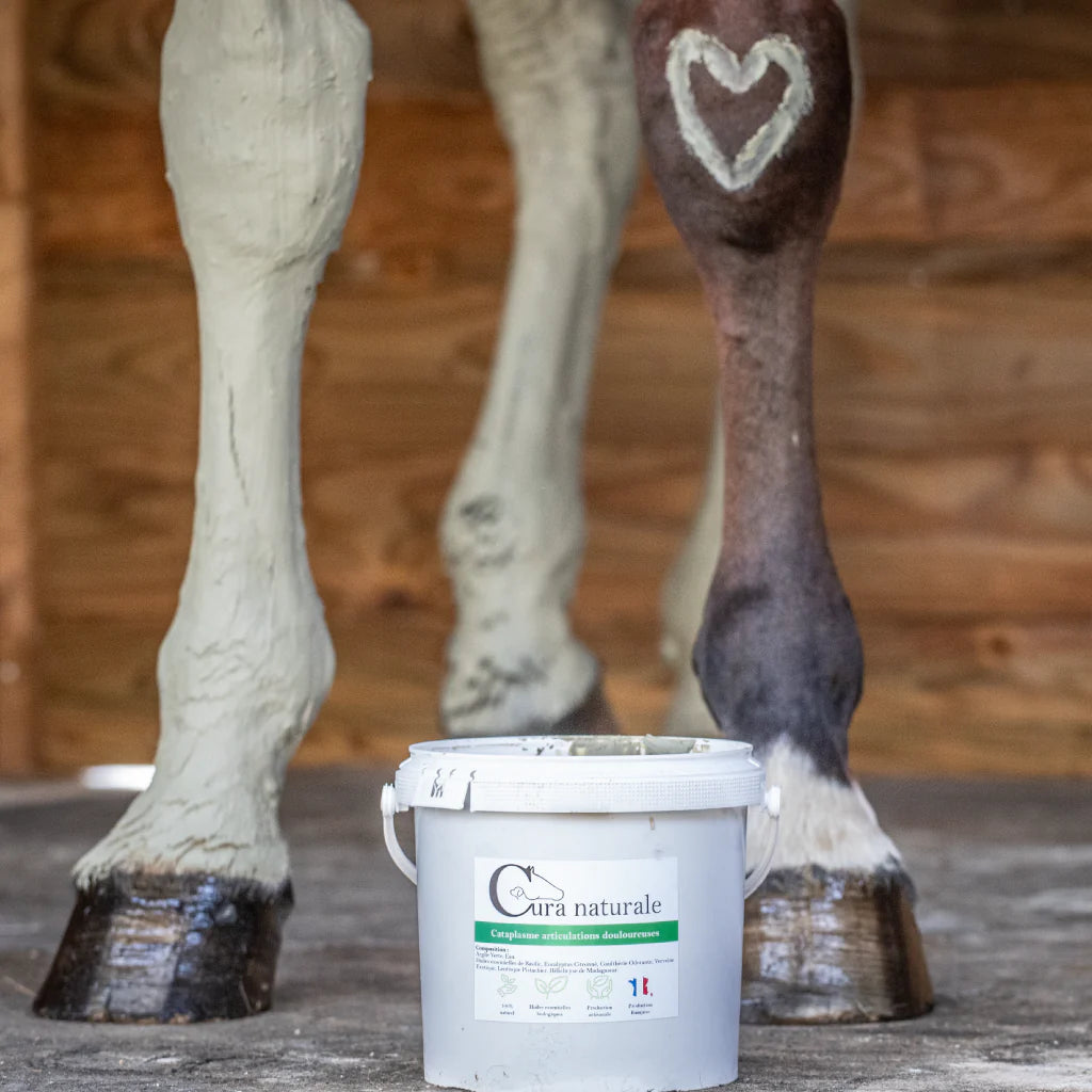 Argile confort articulaire - CURA NATURALE