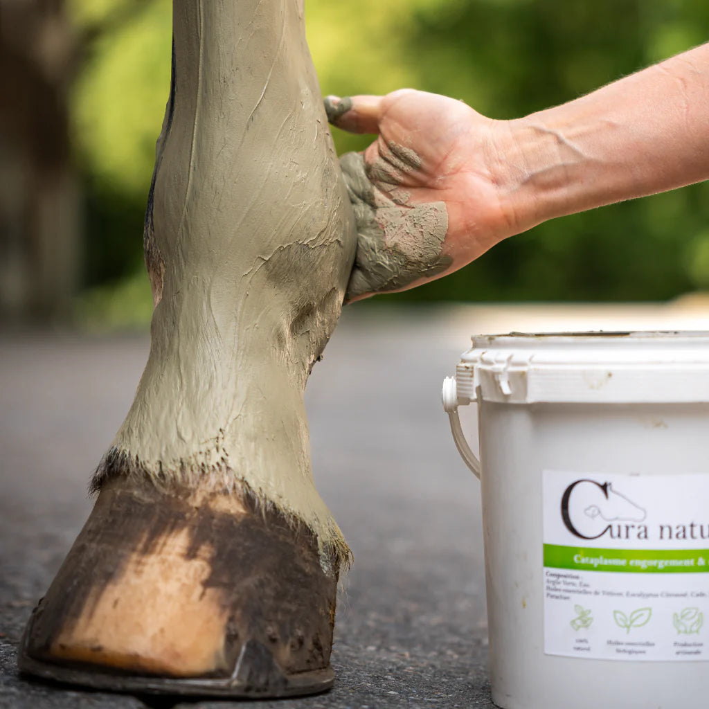 Argile soutien circulatoire - CURA NATURALE