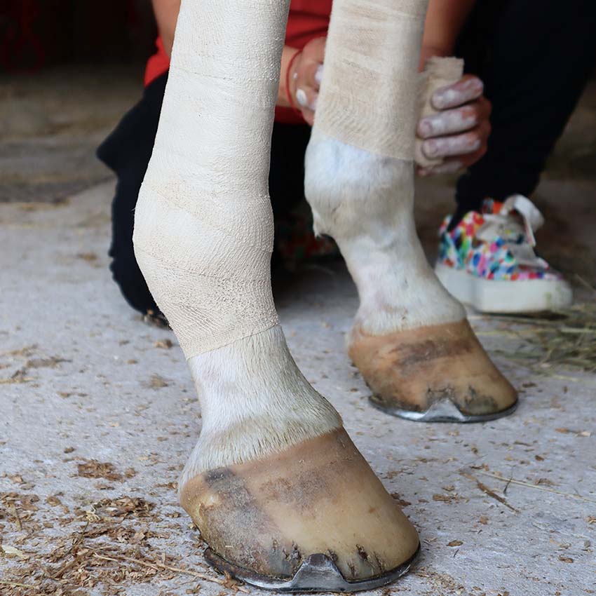 UNIKA COMFORT WRAP PLUS - UNIKA