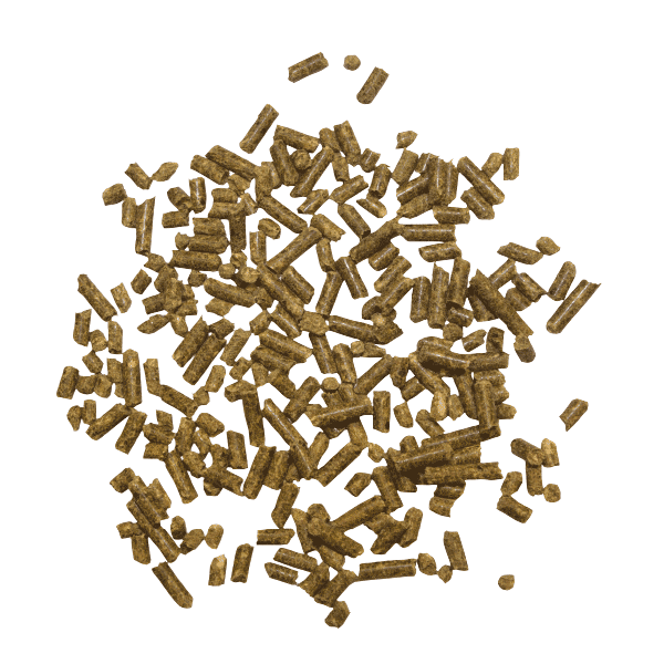 Darm-Regulator - MARSTALL