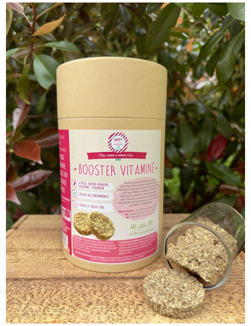 BOOSTER VITAMINÉ BIO - HAPPY CRACKERS