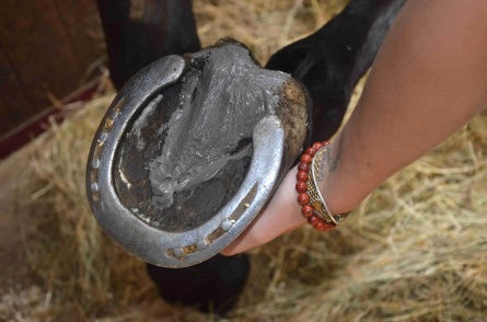 Soin des Fourchettes - NUTRAGILE