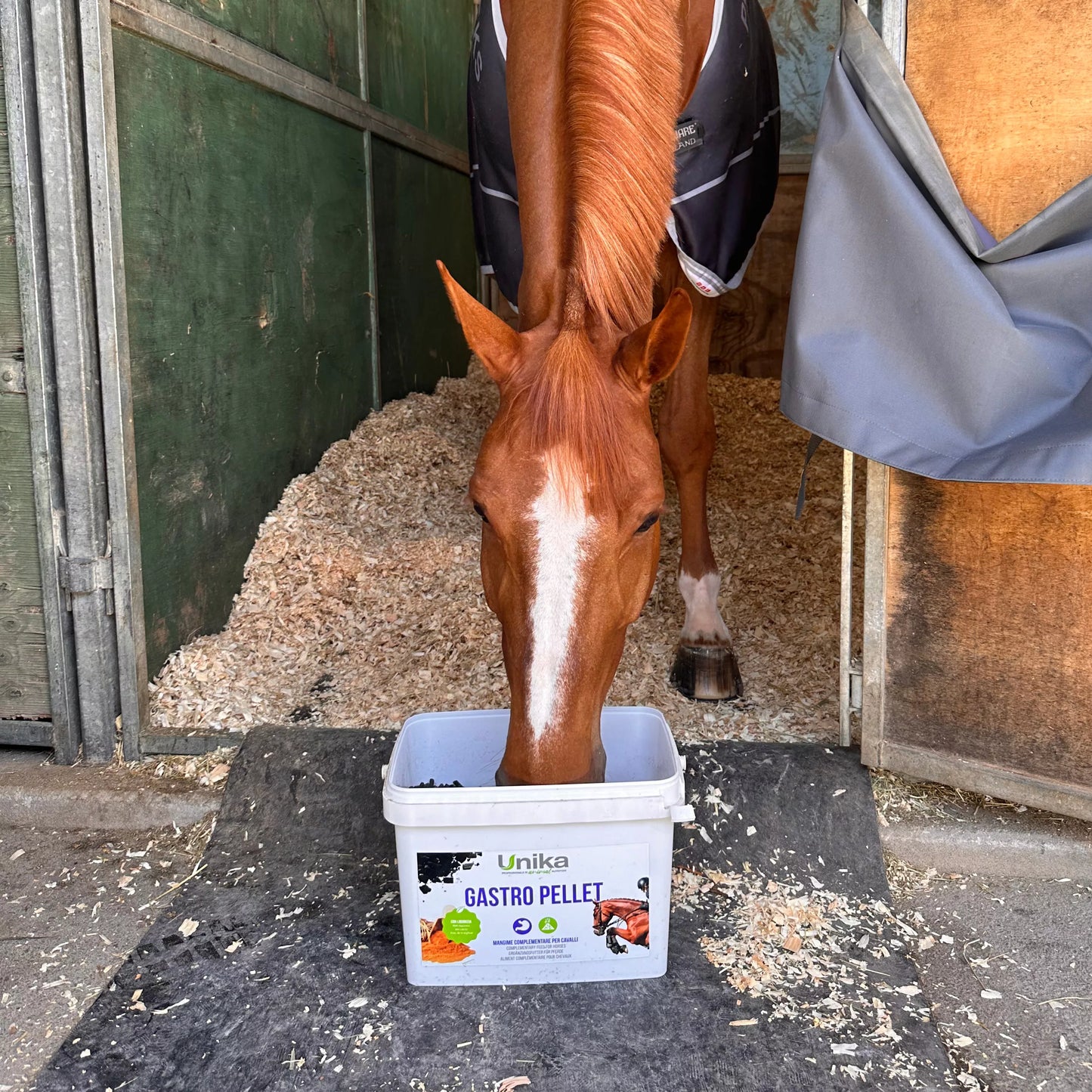 GASTRO PELLET - UNIKA