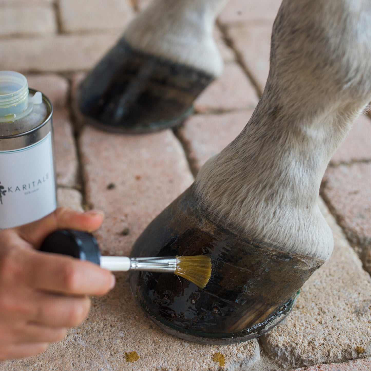 HUILE DE SOIN POUR SABOT - KARITALE