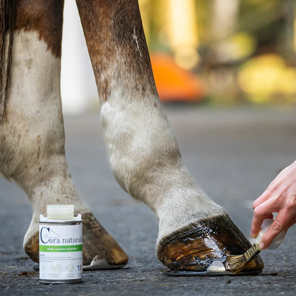 Huile sabots humides - CURA NATURALE