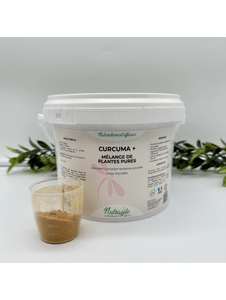 Curcuma + NUTRAGILE