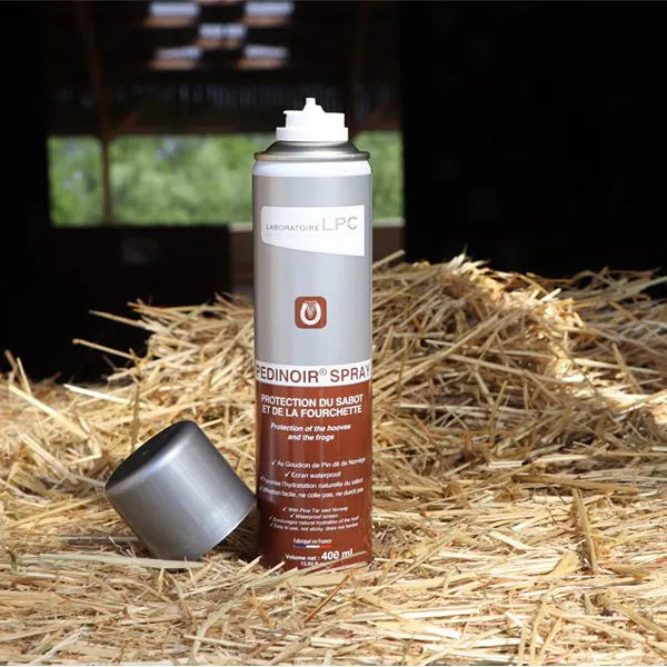 Pedinoir Spray - LABORATOIRE LPC
