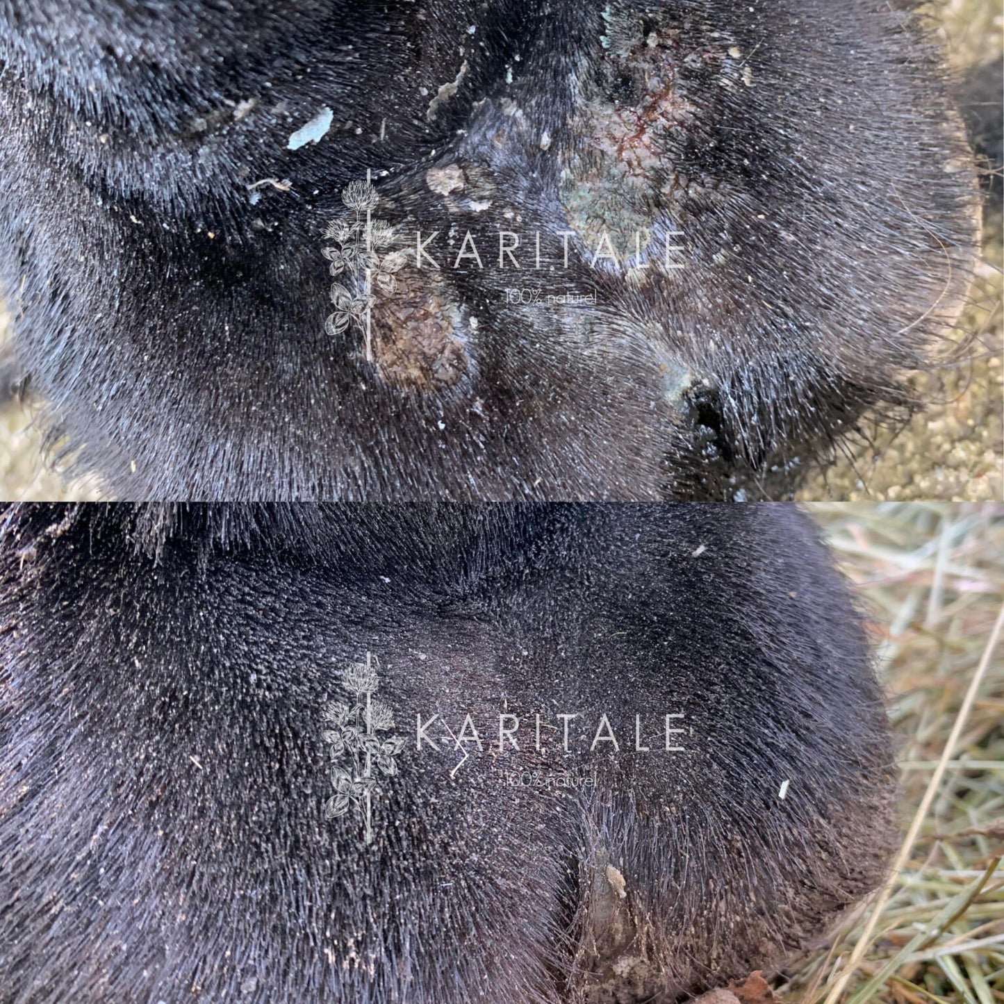 VASELINE VÉGÉTALE À LA FLEUR DE SOUFRE - KARITALE