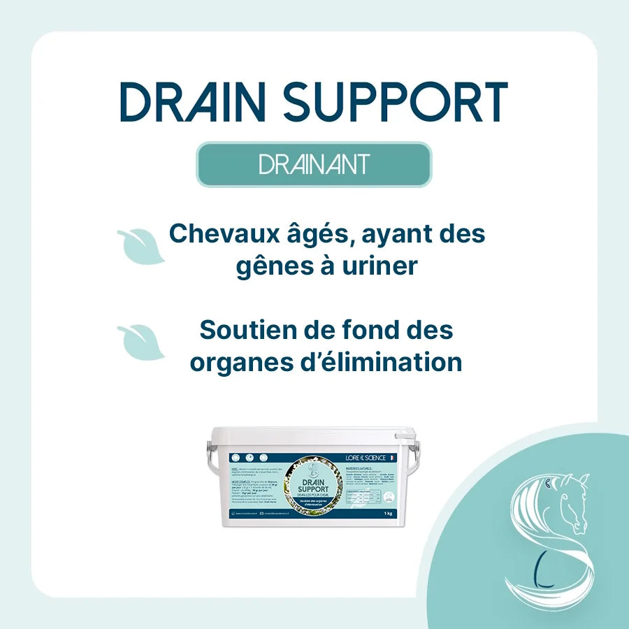 Drain Support - LORE & SCIENCE