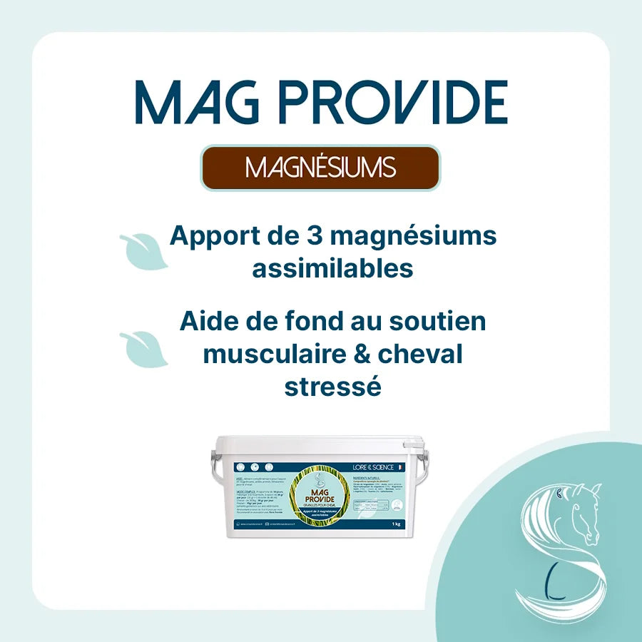 Mag Provide - LORE & SCIENCE