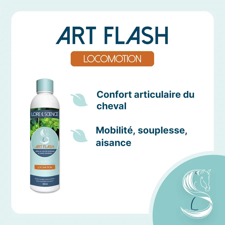 Art Flash - LORE & SCIENCE