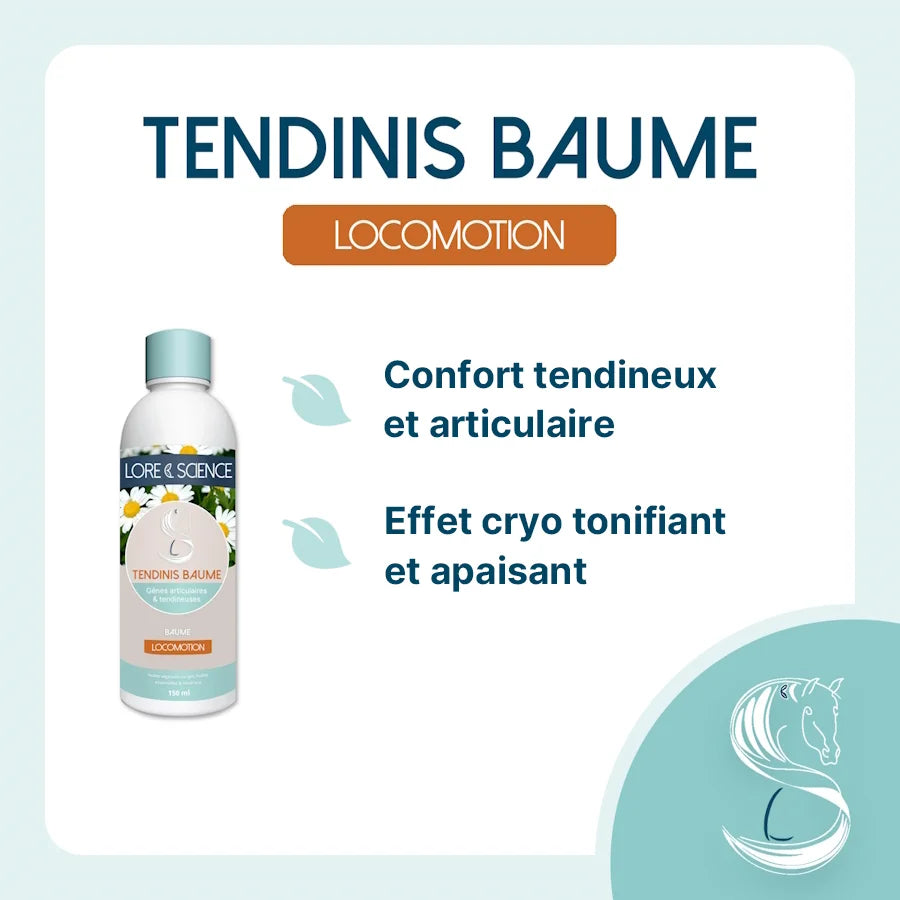 Tendinis Baume - LORE & SCIENCE