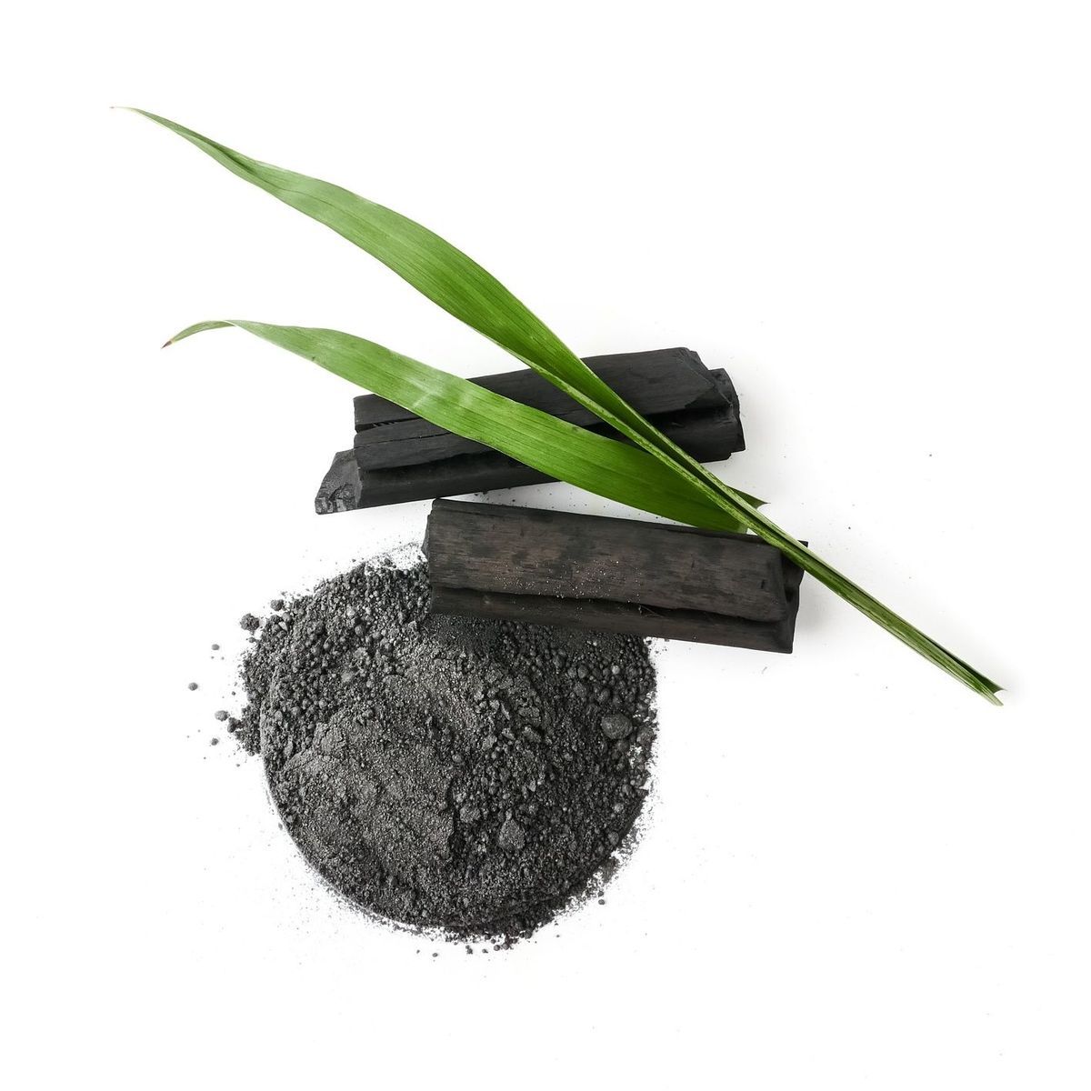 Phytology VetCare - Charbon végétal pur