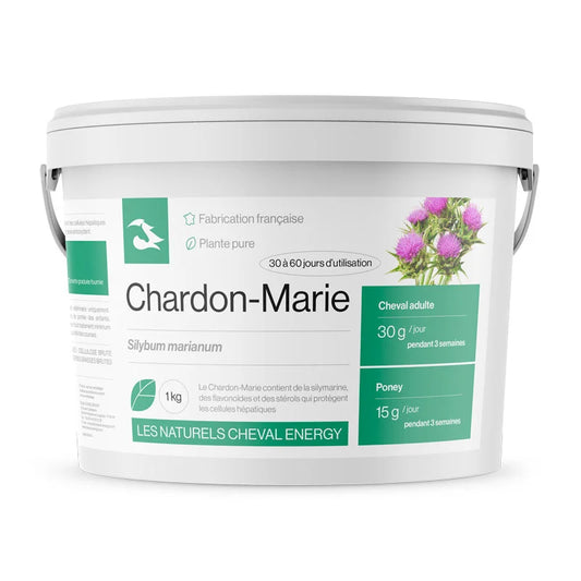 Chardon-Marie - Cheval Energy