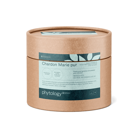 Phytology VetCare - Chardon Marie pur