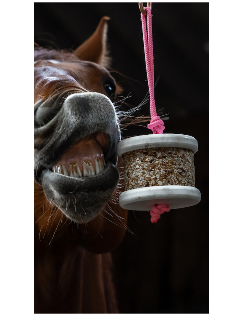 Happy Wild Detox - HAPPY CRACKERS