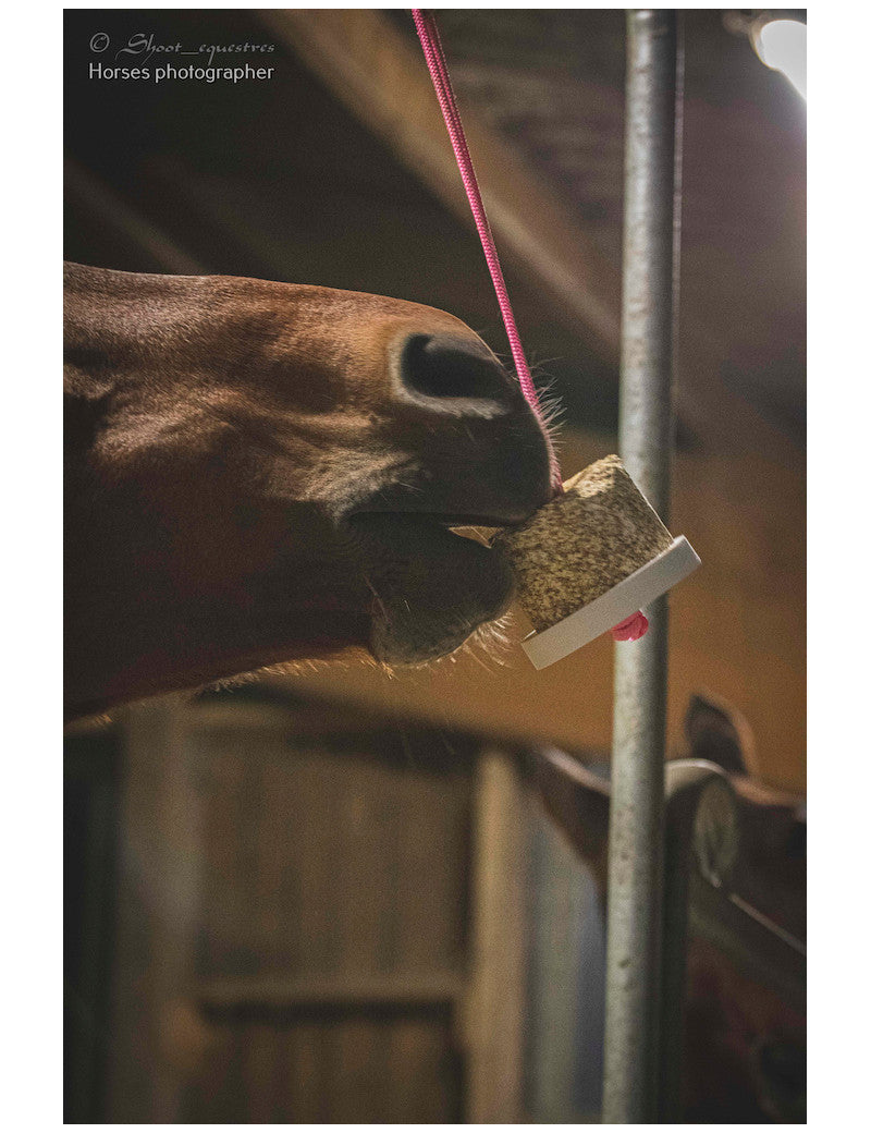 Happy Wild Respi - HAPPY CRACKER