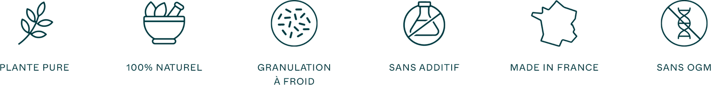 Phytology VetCare - Boswellia (Phytogranulés)