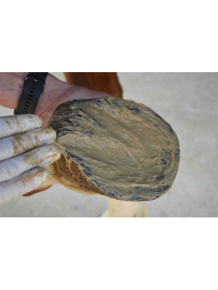 Magic Pieds - NUTRAGILE