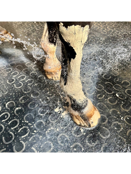 Pâte d'argile Fraîcheur & Confort - NUTRAGILE