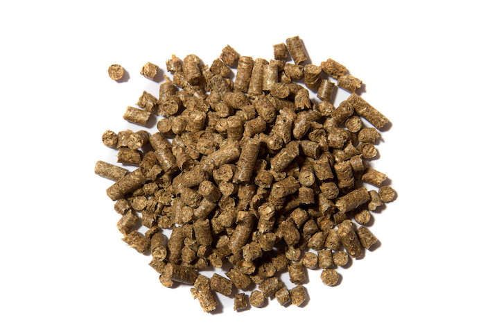 Phytology VetCare - Ortie (Phytogranulés)