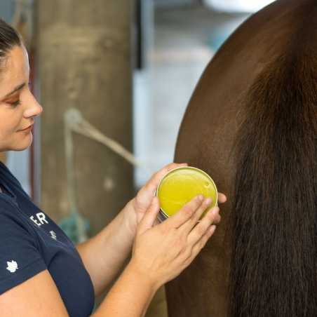 Horskin Baume Bio Plantain DER Démangeaisons Force 4 - MICHEL VAILLANT
