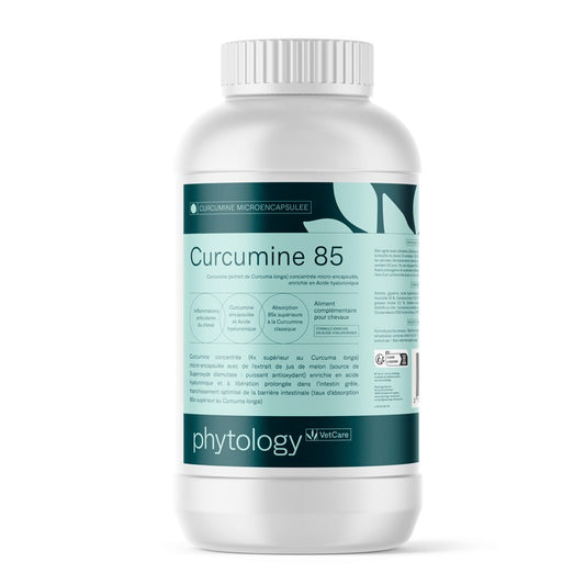 Phytology VetCare - Curcumine 85