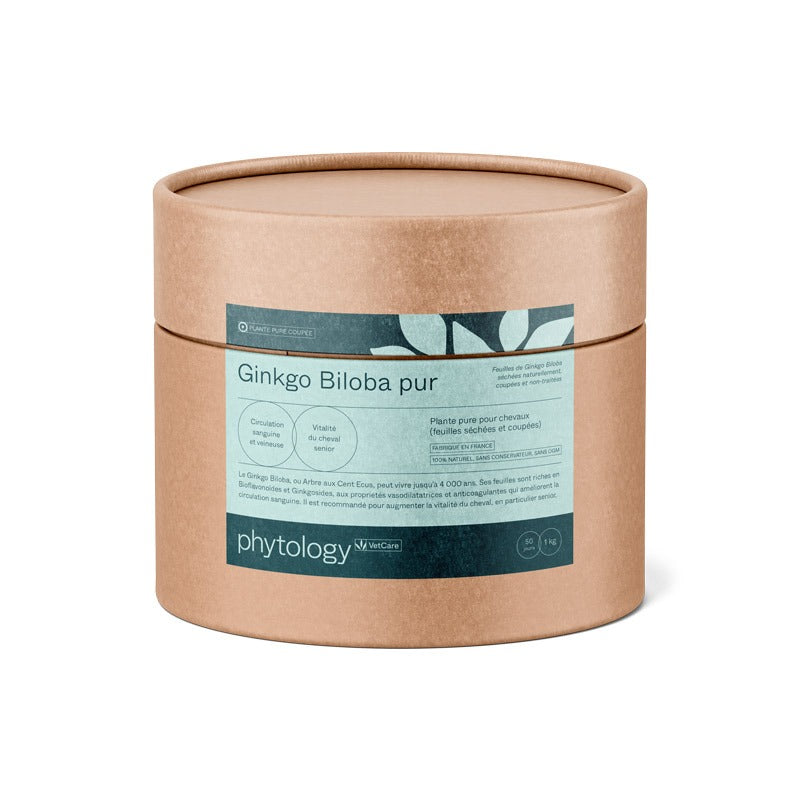 Phytology VetCare - Ginkgo Biloba pur
