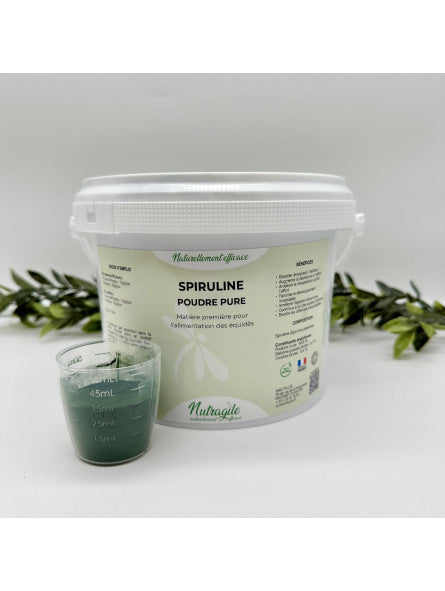 Spiruline Poudre - NUTRAGILE