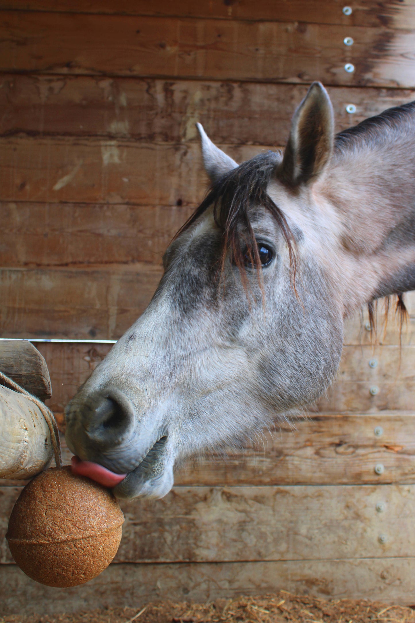 UNIKA BALLS ENDURANCE