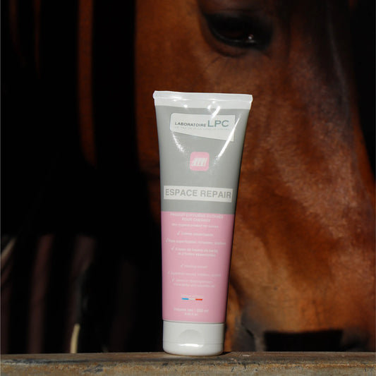 Espace Repair - LABORATOIRE LPC