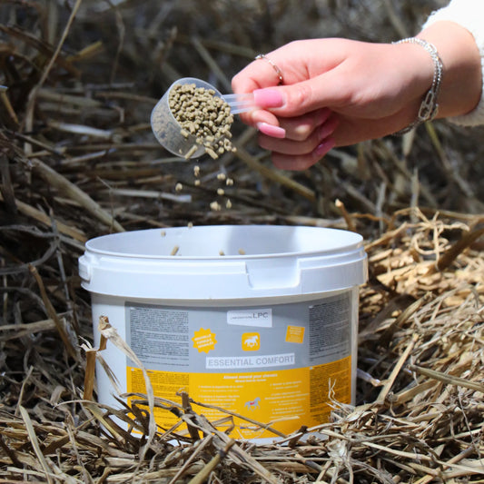 Essential Comfort - LABORATOIRE LPC