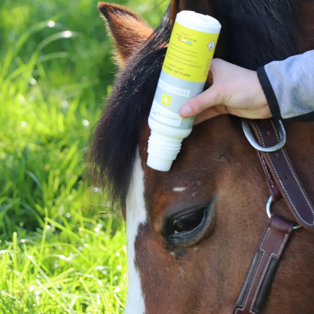 Espace Brush - LABORATOIRE LPC