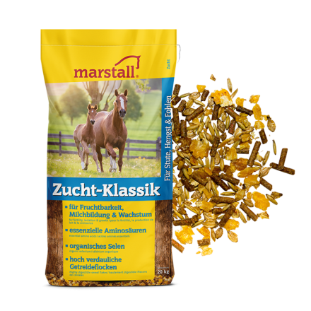 Zucht-Klassik - MARSTALL