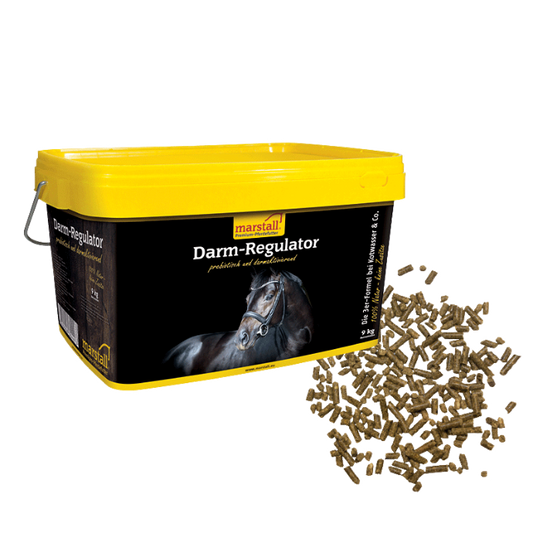 Darm-Regulator - MARSTALL