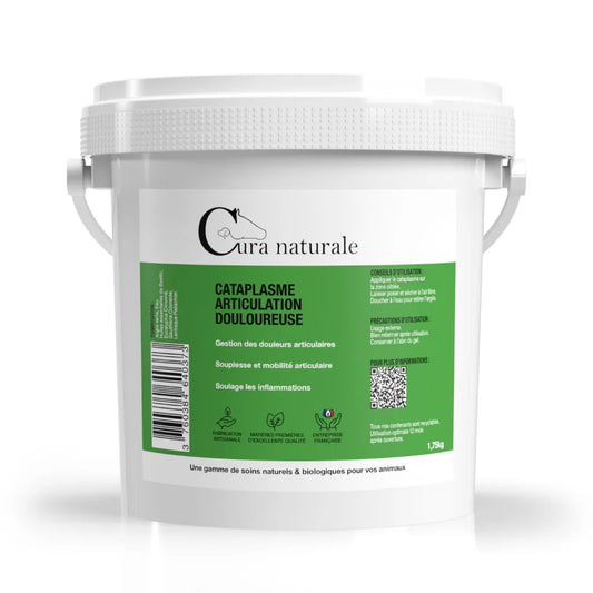 Cataplasme articulation douloureuse - CURA NATURALE