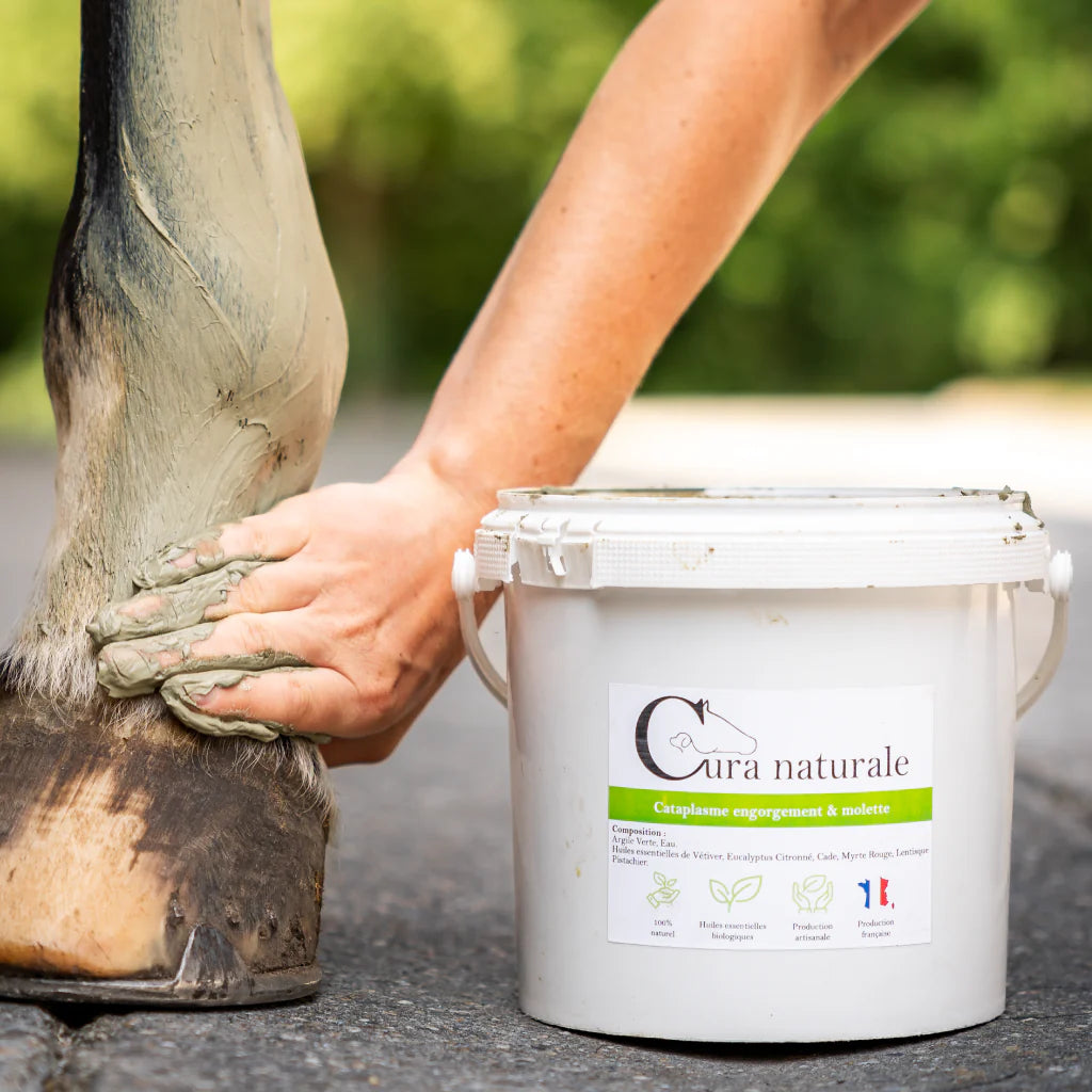 Cataplasme Engorgement & Molette - CURA NATURALE