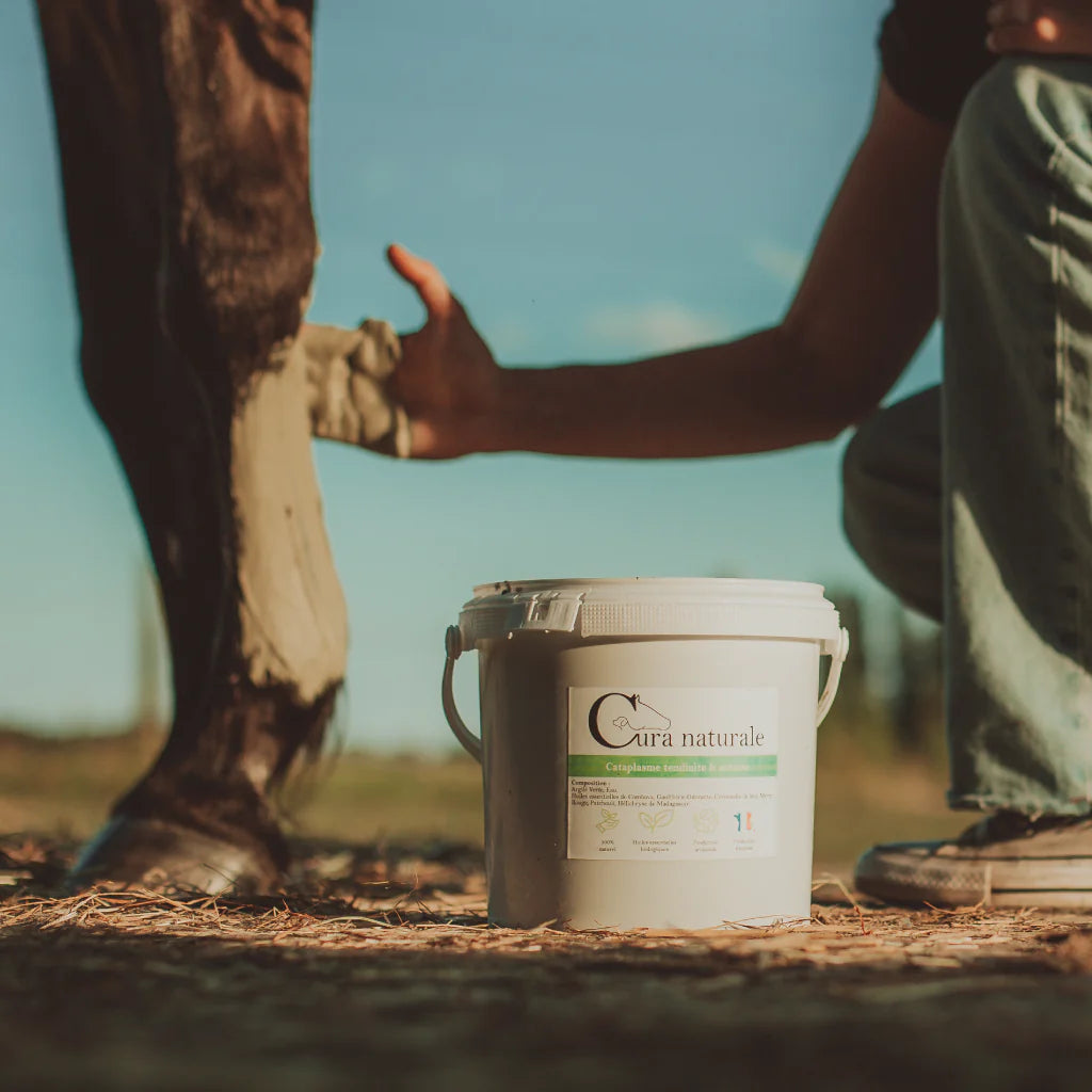 Argile soutien tendineux - CURA NATURALE