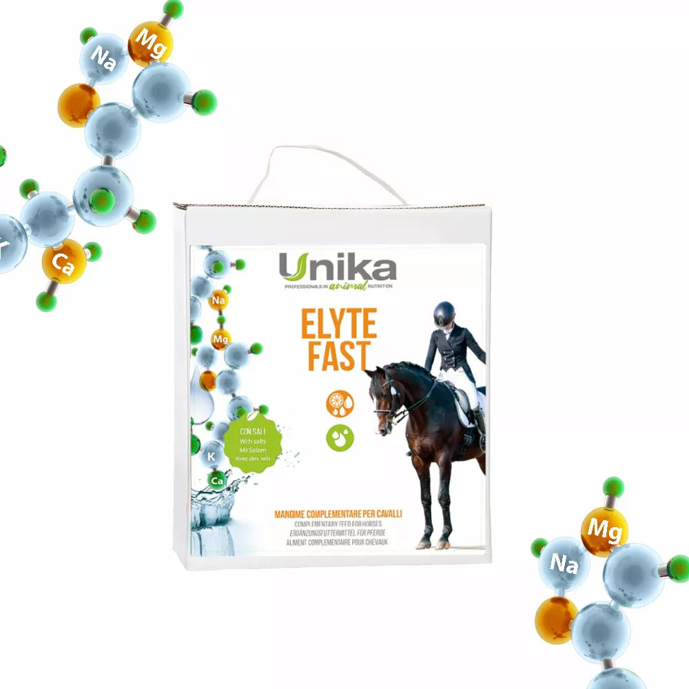 ELYTE FAST - Unika