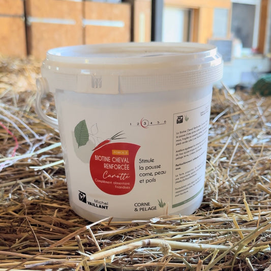 Reinforced horse biotin - Carrot treat - Treat format 1kg