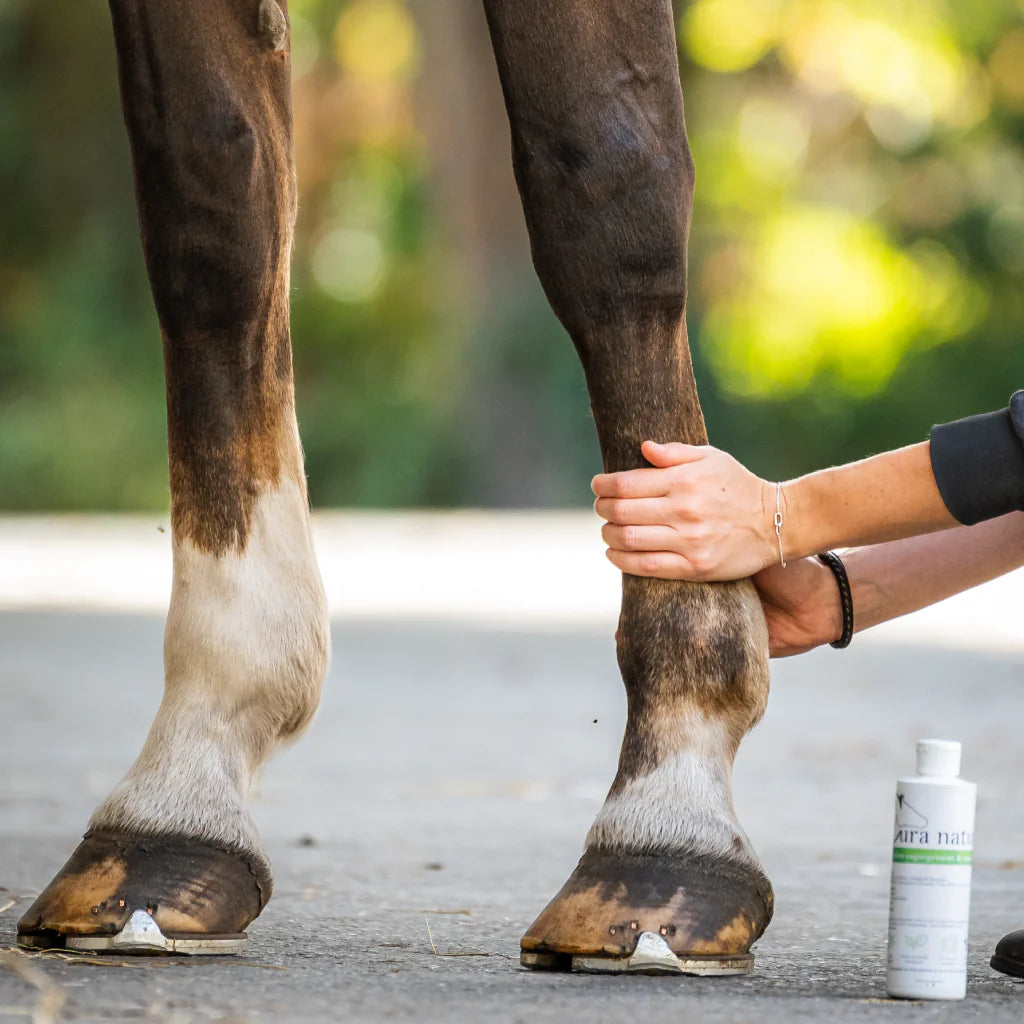 Lotion Engorgement & Molette - CURA NATURALE