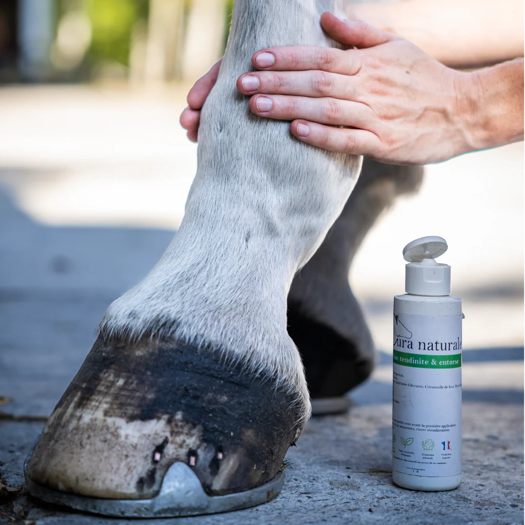 Huile soutien tendineux - CURA NATURALE