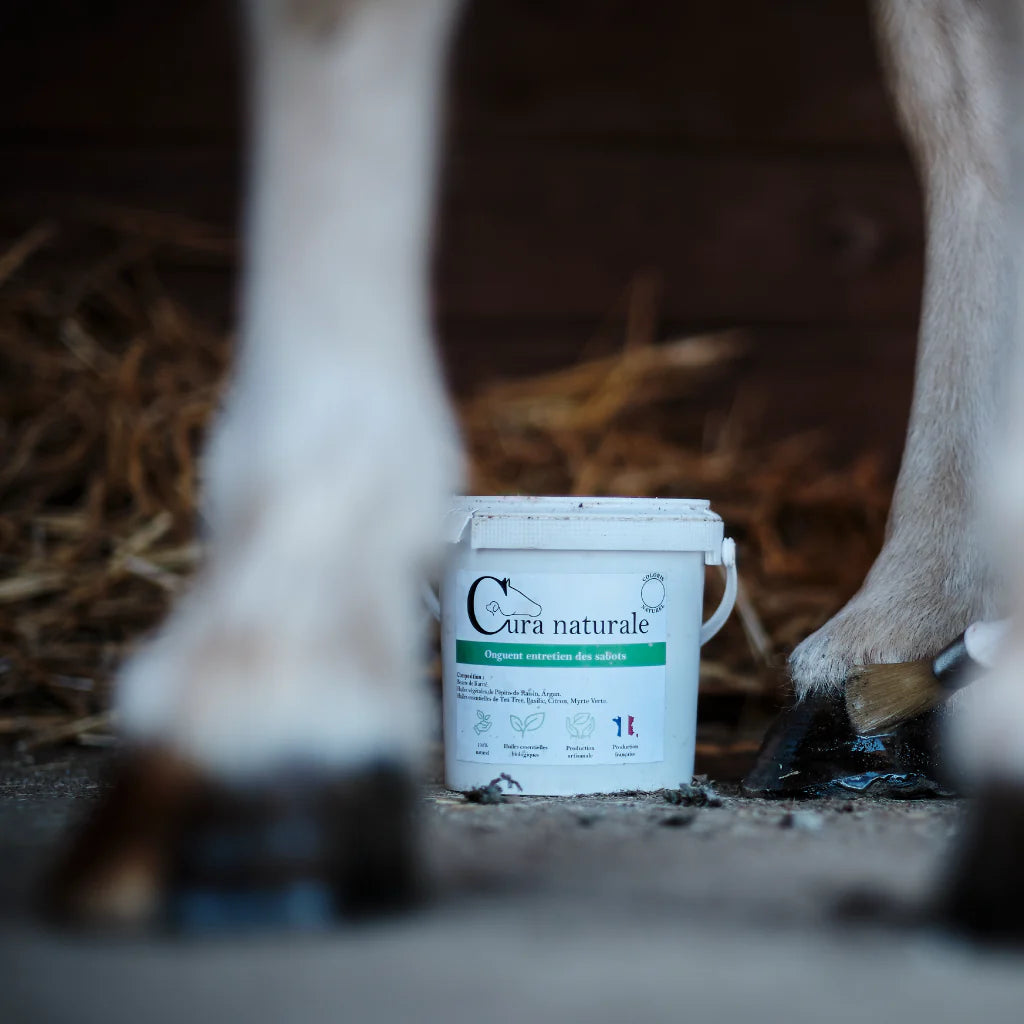 Onguent entretien des sabots - CURA NATURALE