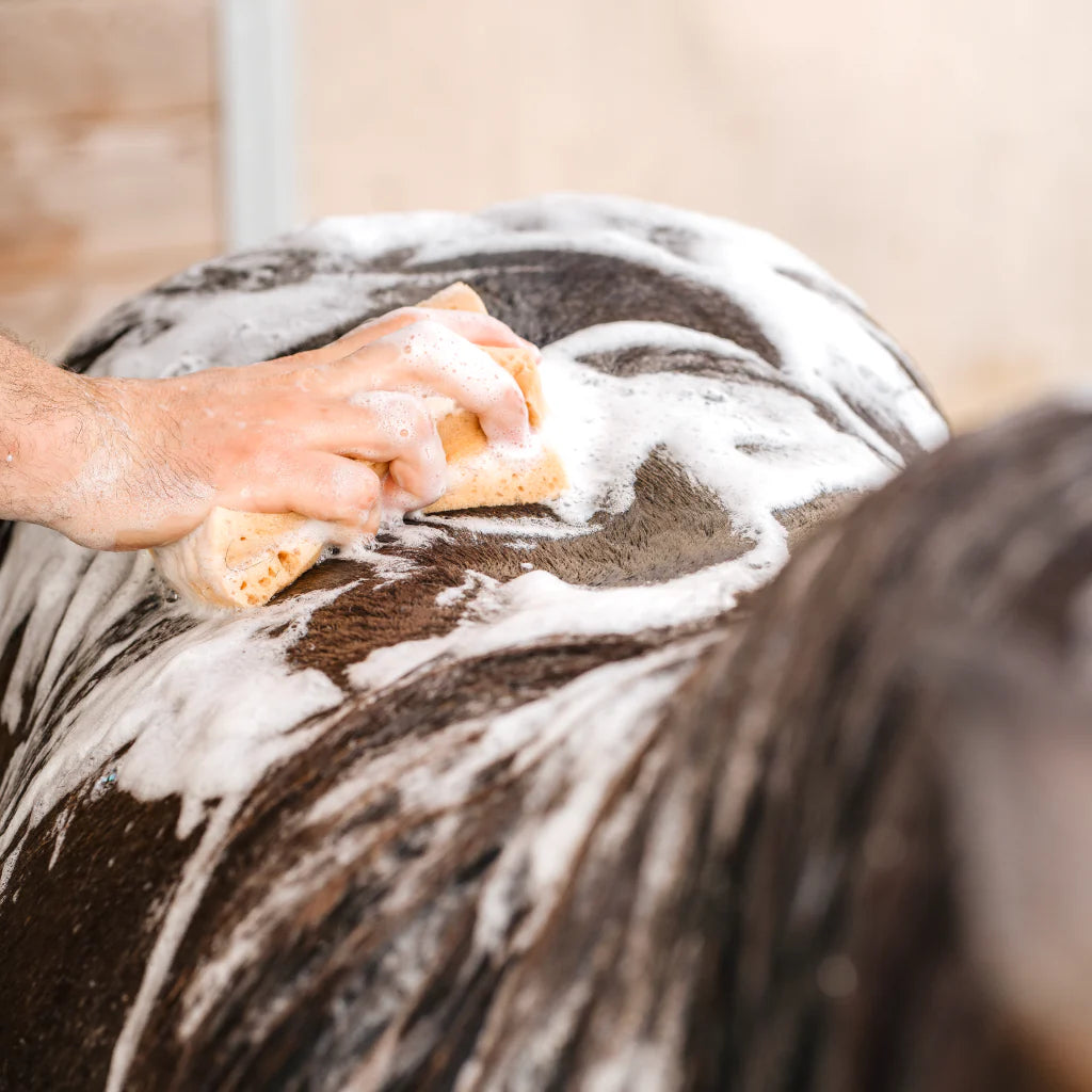 Shampoing répulsif - CURA NATURALE