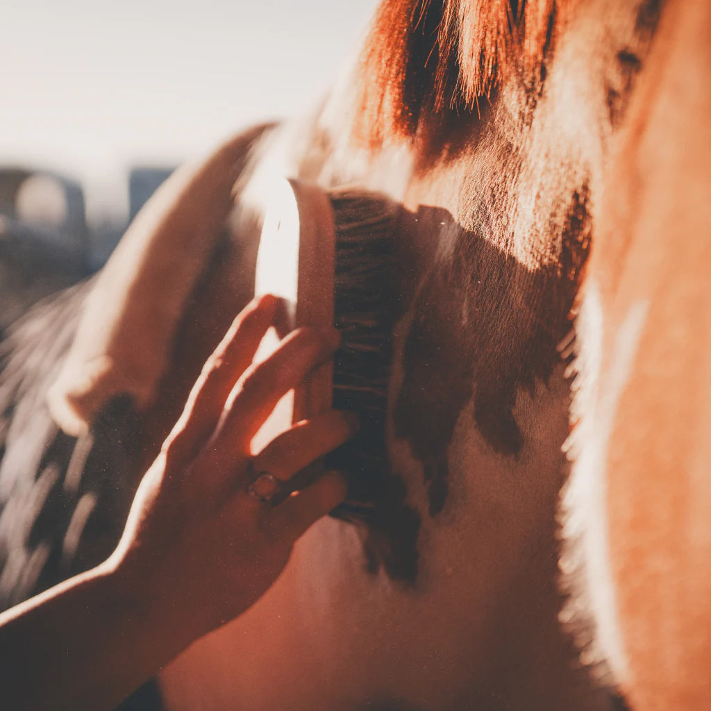 Shampoing sec - CURA NATURALE